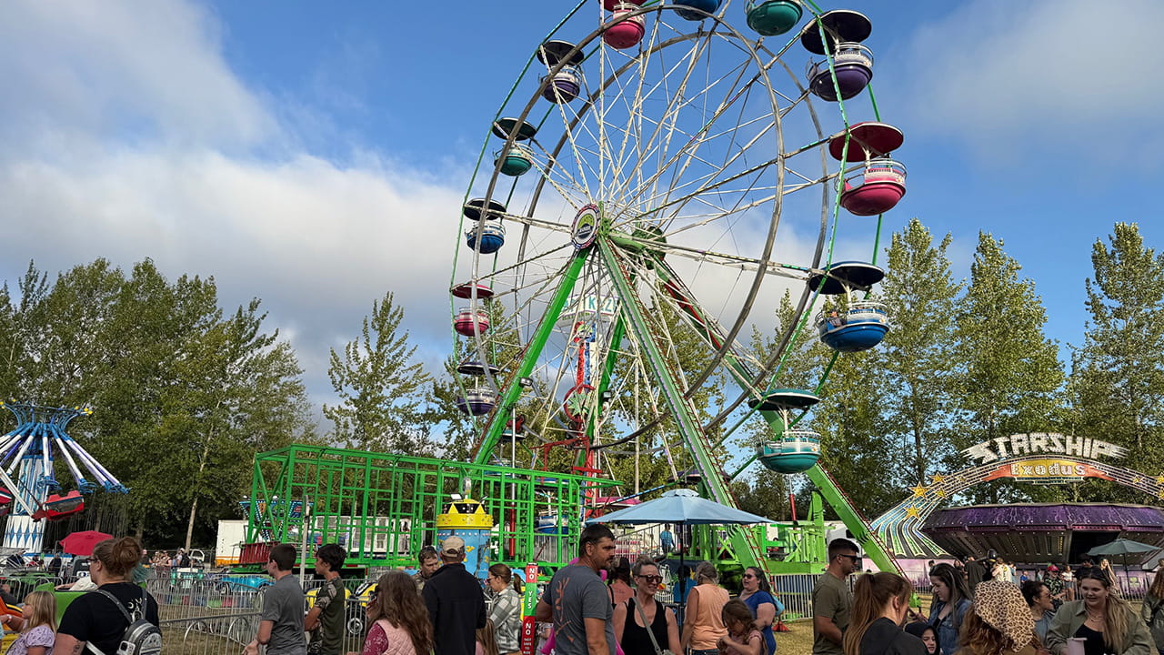 Ferris wheel at the fair